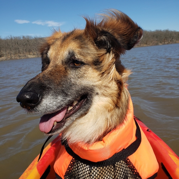 Meet your Posher, Theresa - Picture 3 of 4